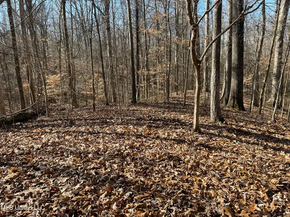 2311 Pocahontas Cv, Hernando, MS 38632