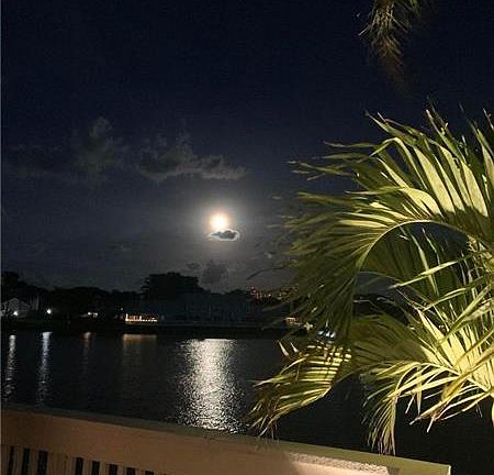 3rd image of 1217 Ocean Dunes Cir #1217