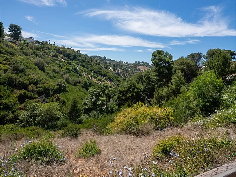 12 Martingale Dr — Photo 28