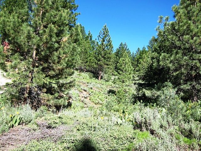 1st image of 7289 Marilyn Way