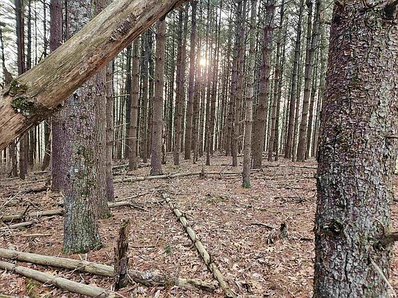 3rd image of Sawmill Hill Rd NW