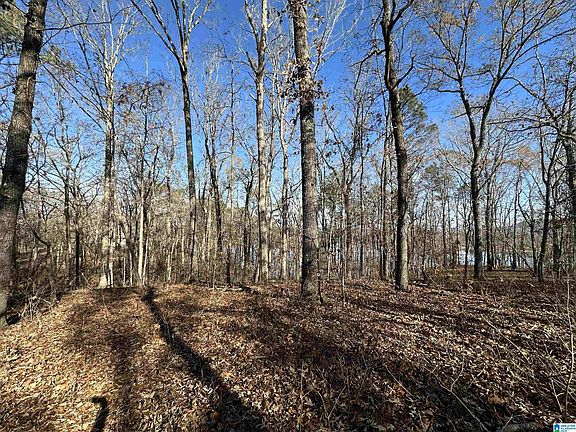 3rd image of 11 Billingsley Dr Lot 11