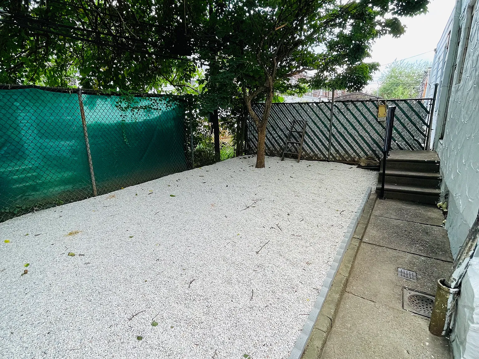 1 bed, 950 sqft, $950 — Photo 3