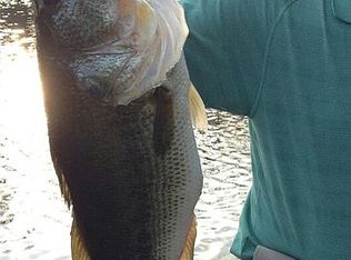 4350 Fortune Hole Rd, Hamilton, GA 31811