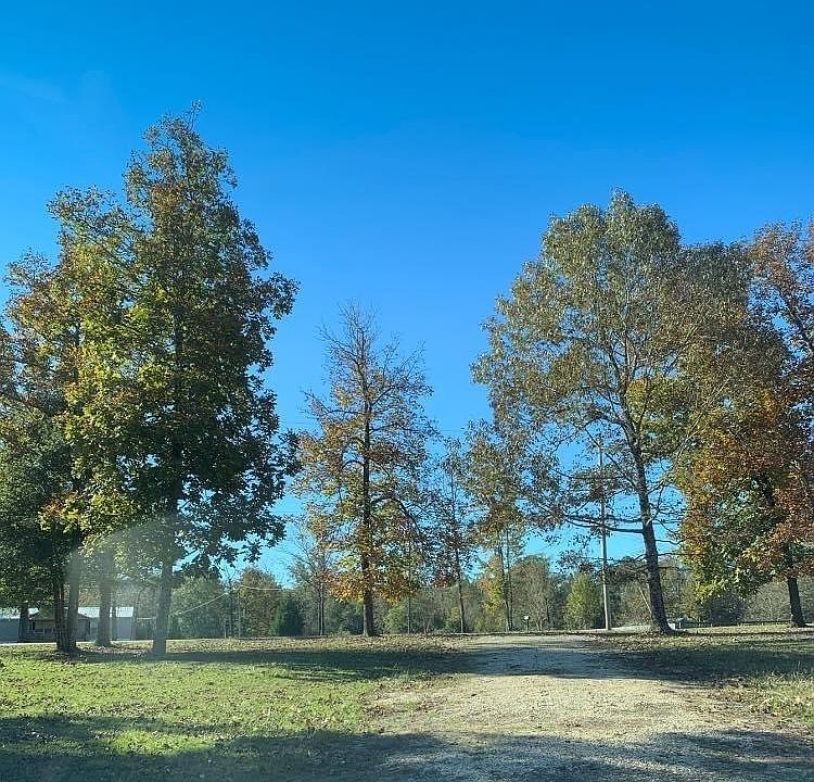 25215 Kelsey Dr Amite, LA, 70422 Apartments for Rent Zillow