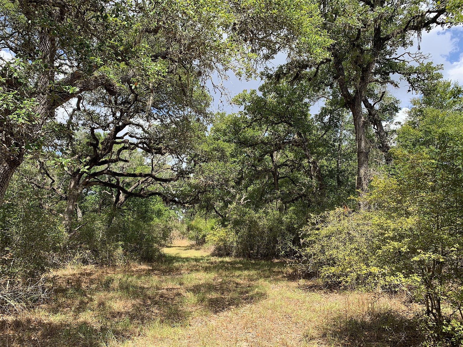 Private Road 1581, Hallettsville, TX 77964 | MLS #91880045 | Zillow