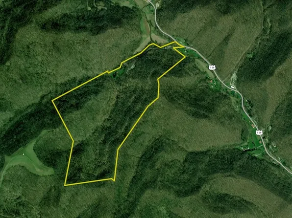 50 Sweet Grape Run Rd, Walton, WV 25286