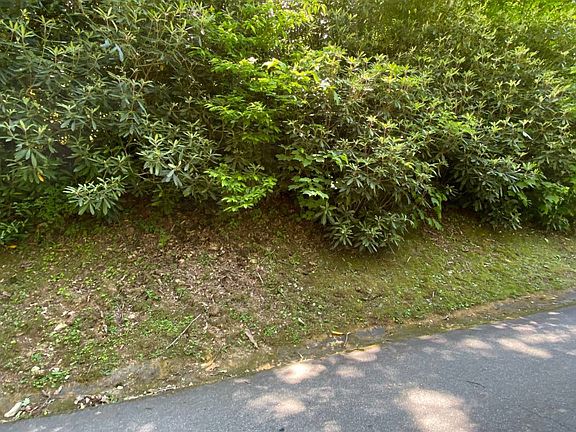 4th image of Hemlock Dr
