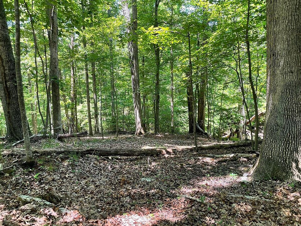 0 Cedar Bluff Ln Hardy VA Zillow