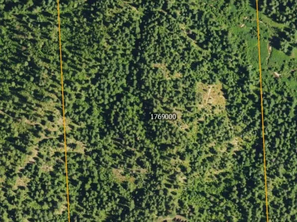 (undisclosed Address), Springdale, WA 99173