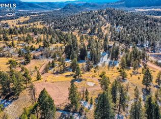 43 Snowshoe Way, Florissant, CO 80816