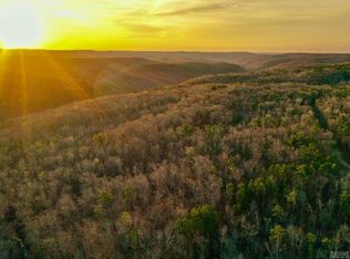 1 Fayette Rd, Clinton, AR 72031