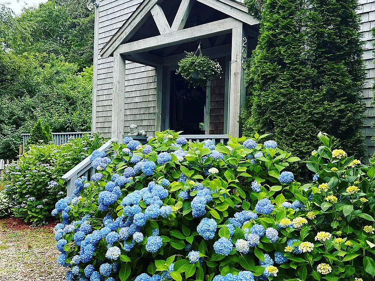 200 Wayside Rd — Photo 1