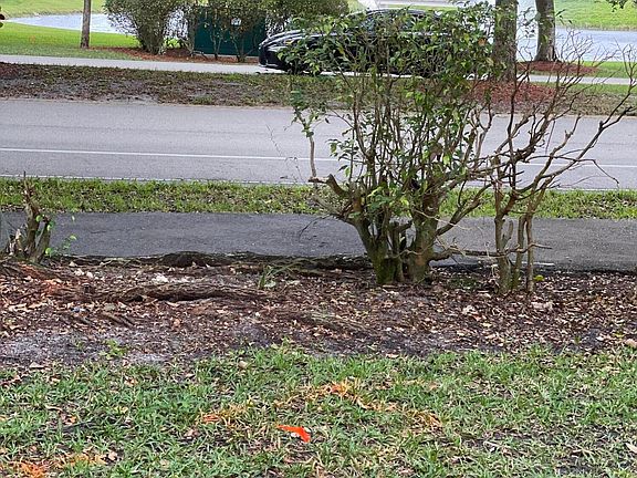 2nd image of 1601 Abaco Drive #C1