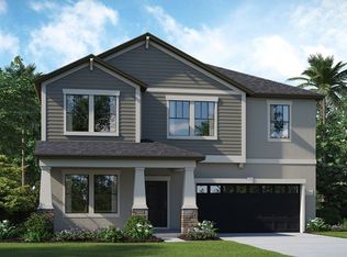 10705 Pegasus Valley Ct, Tampa, FL 33647