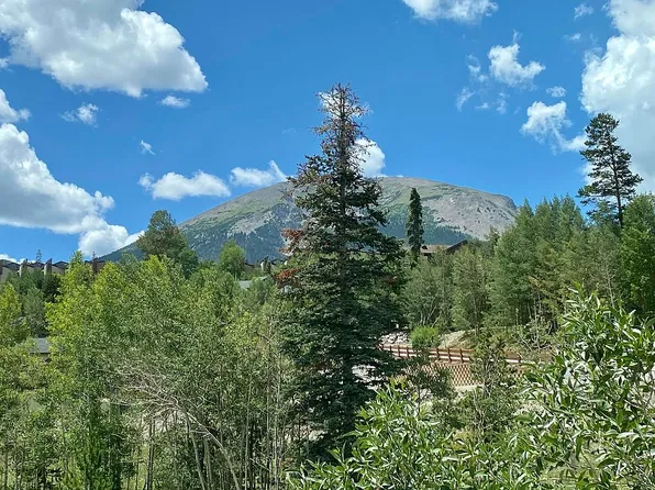 8020 Ryan Gulch Rd, Silverthorne, CO 80498