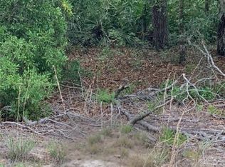 Terrell St Lot 17, Interlachen, FL 32148