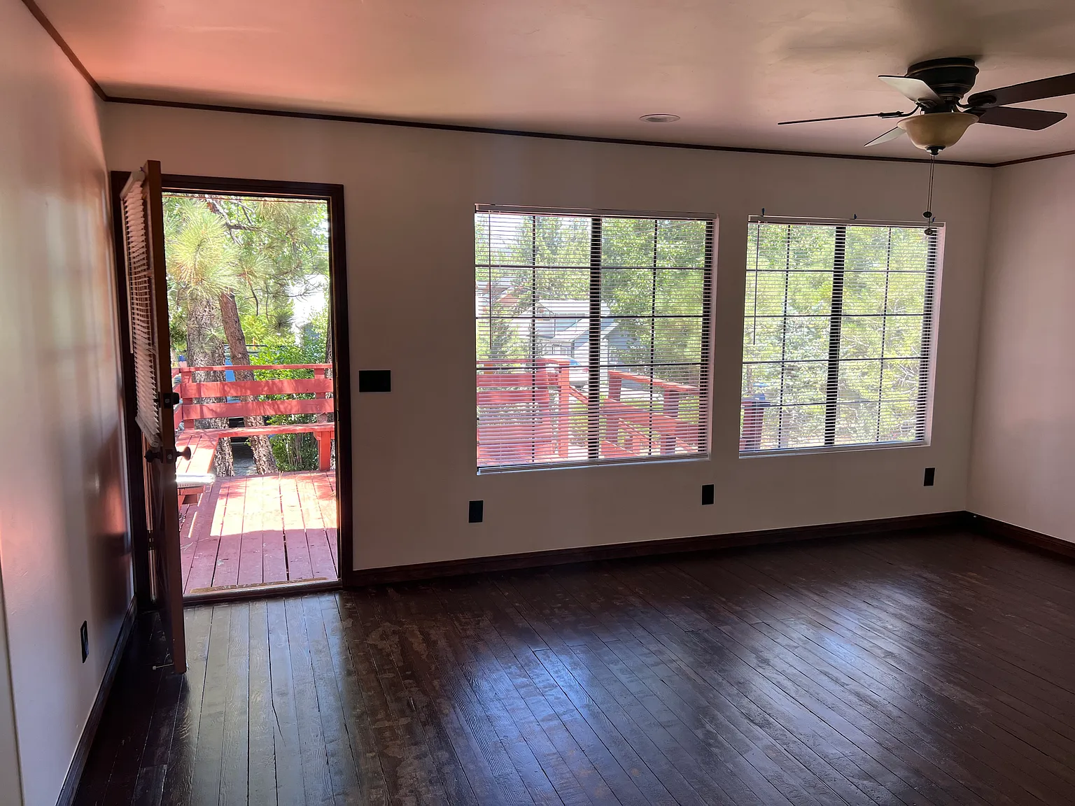 1 bed, $1,450 — Photo 3