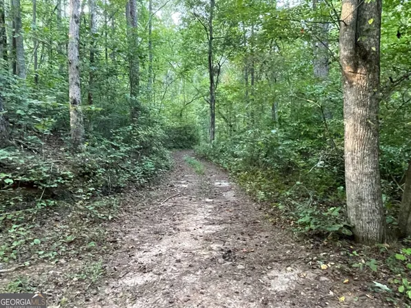 201 Black Bear Trce, Dawsonville, GA 30534