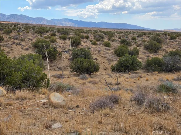 0 Vac Vic St #193, Llano, CA 93544