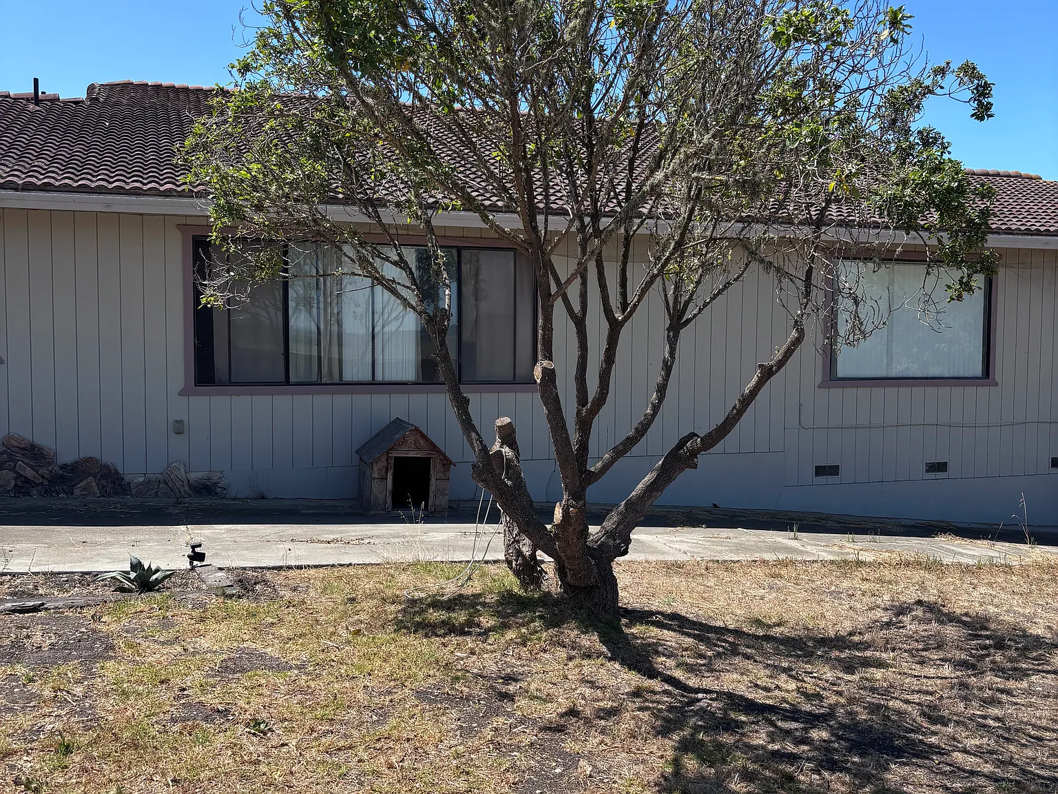 234 Espinosa Rd — Photo 2