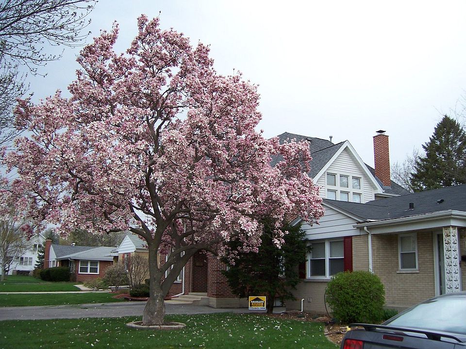 718 E. Euclid Spring