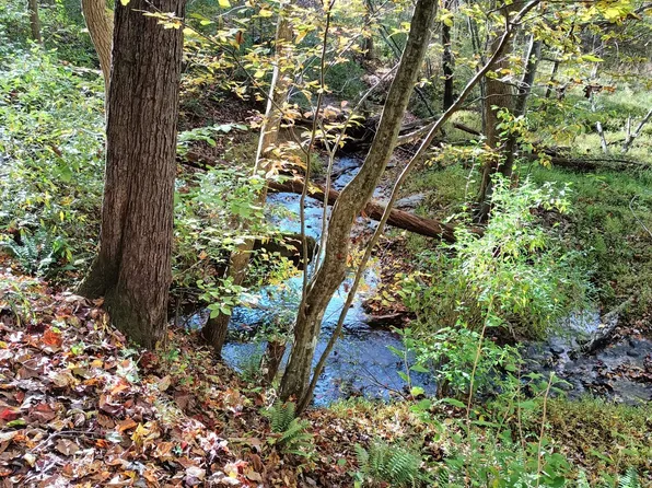 LOT 49 Gap Bridge Rd, Moneta, VA 24121