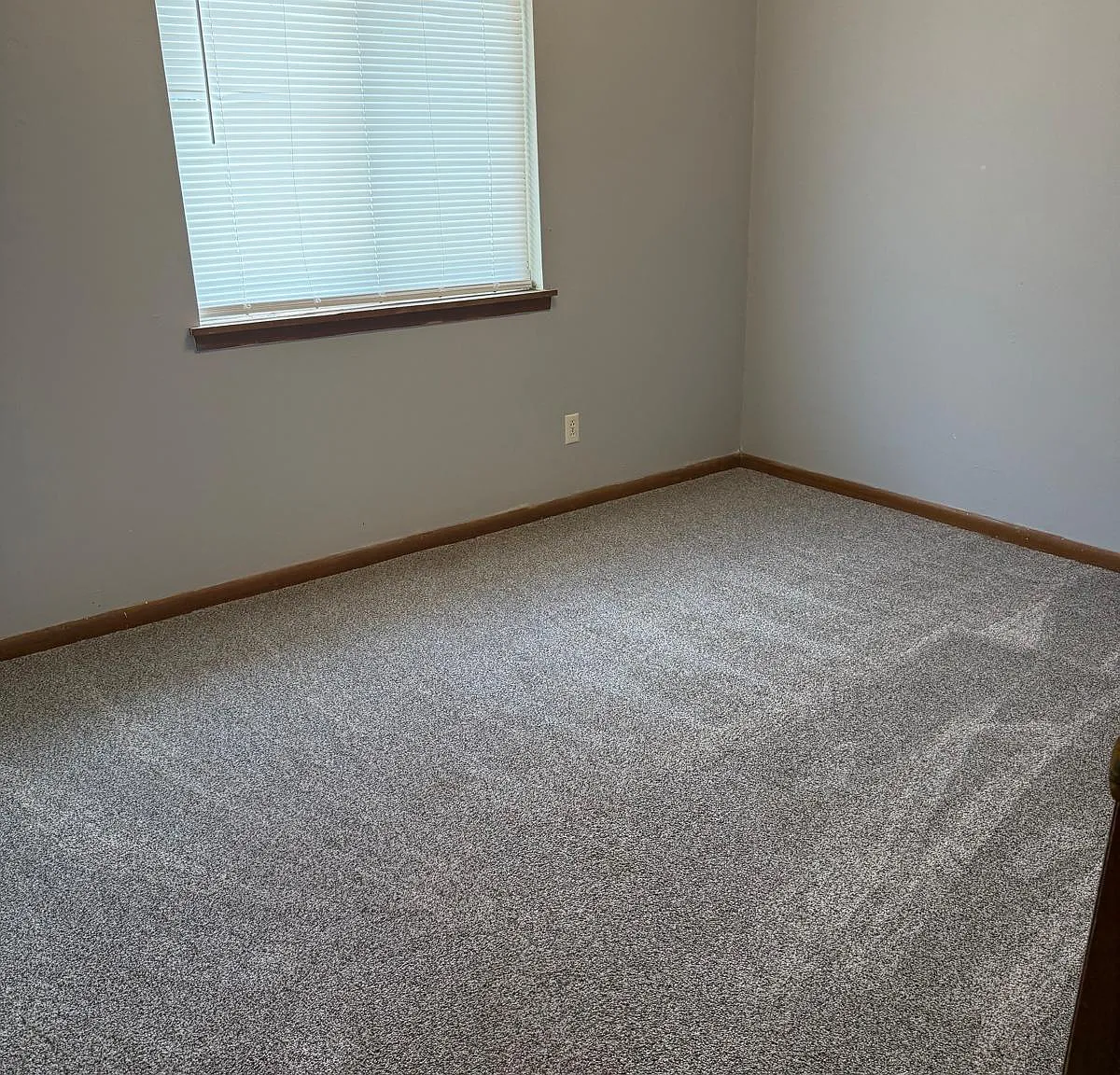 2 bed, $850 — Photo 3