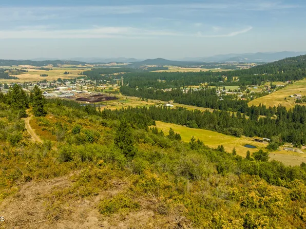 PARCEL 4 Agency Rd, Plummer, ID 83851