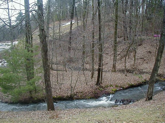 Babbling Brook outside window