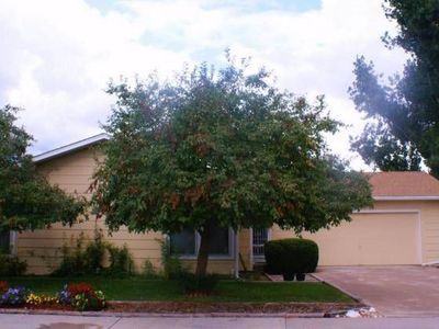 104 Sunflower Dr, Windsor, CO, 80550