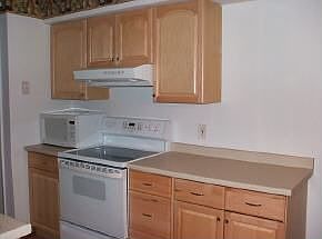 New Appliances -Kitchen View 2