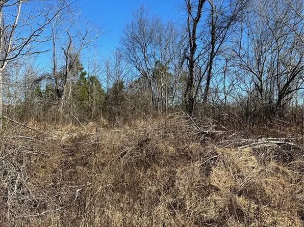 0 Satcher Rd Tract 3, Taylorsville, GA 30178