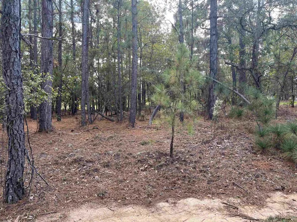 536 Bald Eagle Dr #5147, Vass, NC 28394