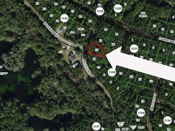 8295 N Lily Dr, Citrus Springs, FL 34434