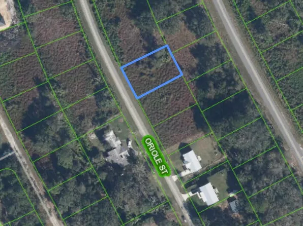 1027 ORIOLE Street, Lake Placid, FL 33852
