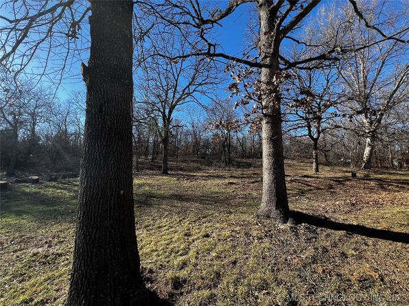 16306 N Javine Hill Rd, Skiatook, OK 74070