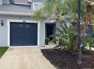 6012 Parkside Meadow Dr, Tampa, FL 33625