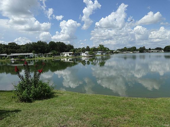 Lake view from the bank