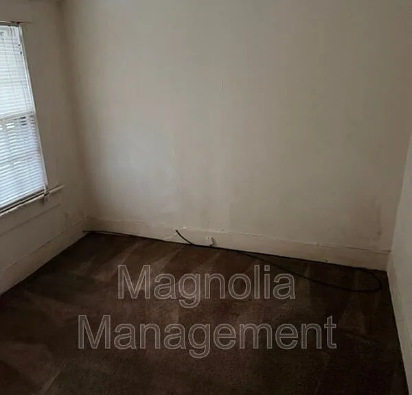 1316 S Chestnut St — Photo 7
