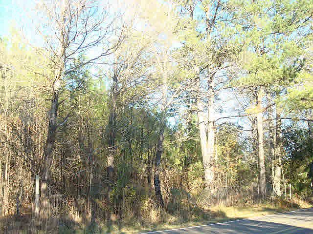 2nd image of 0 McFarland Rd