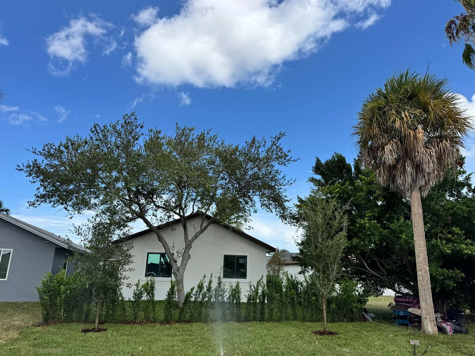 3 bed, 2.0 bath, 1147 sqft, $2,750 — Photo 2