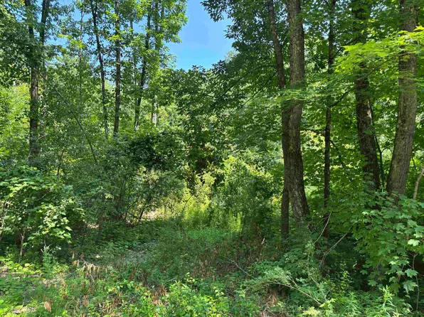 Upper Plains Road, Salisbury, VT 05769