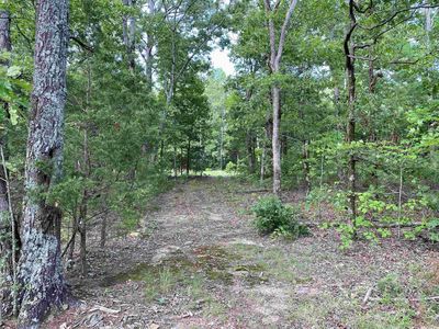 3 Misenheimer Rd, Mountain View, AR, 72560