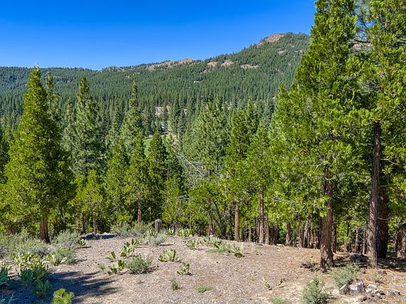 4th image of 1924 Grizzly Ranch Rd