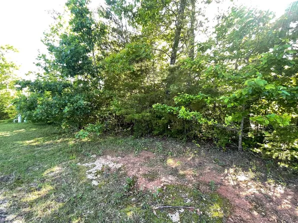 LOT 20 Big Cove Dr, Hiawassee, GA 30546