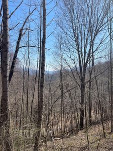 0 Trotters Trl, Waynesville, NC, 28785