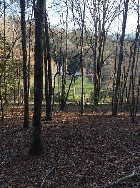 1st image of 0 Caney Creek Rd