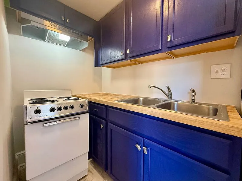 1 bed, 1.0 bath, 255 sqft, $1,100 — Photo 4