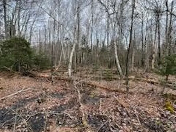 R4 Lot 187 Cape Jellison Road, Stockton Springs, ME 04981